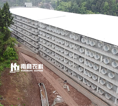 南商農科：四川樂(lè )至樓房養殖規模13500頭母豬場(chǎng)