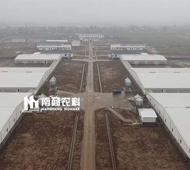 南商農科：湖南常德4800頭母豬場(chǎng)