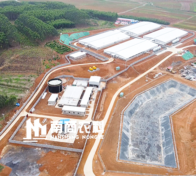 南商農科：廣西桂平規模16000頭母豬場(chǎng)