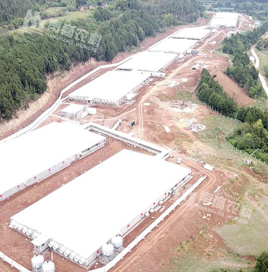 新希望鹽亭2.4萬(wàn)頭育肥場(chǎng)項目