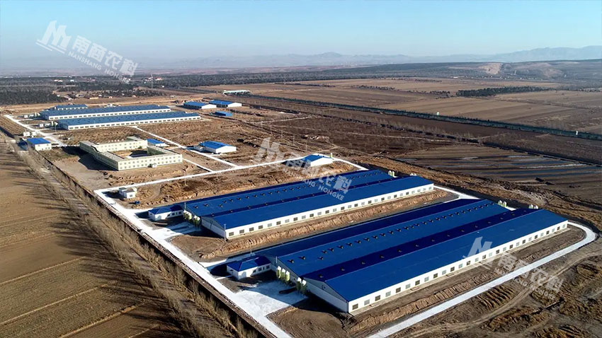 內蒙古化德縣百萬(wàn)頭生豬養殖項目