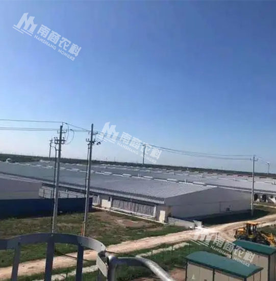 江蘇鹽城榮佑存欄7600頭能繁母豬場(chǎng)項目