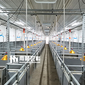 豬場(chǎng)設備EPC解決方案